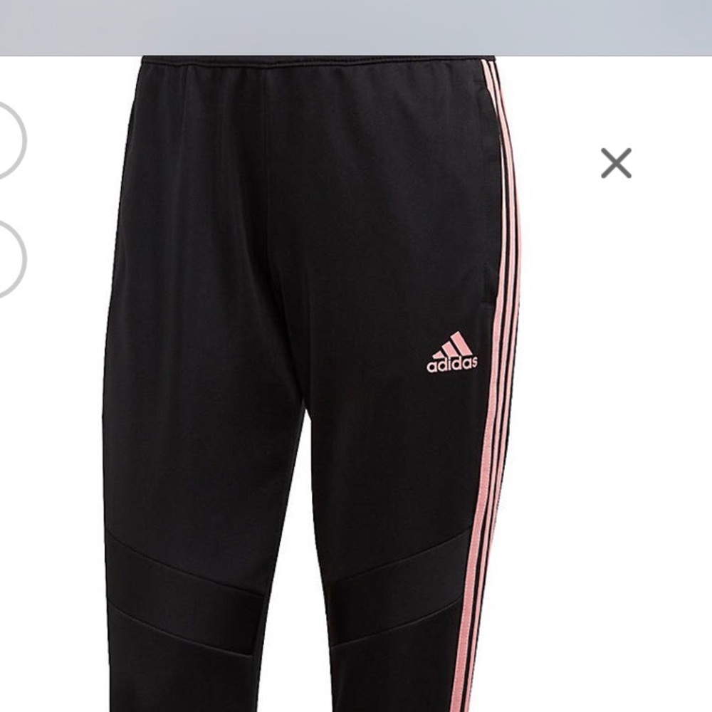 Adidas Training Tiro 19 Training Pants